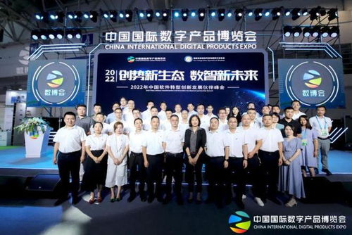福建省信息技術咨詢服務行業(yè)協會會長陳維芳向全國人民拜新年